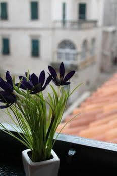 Nerio Appartement *